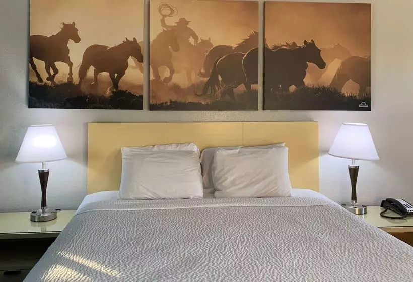 酒店 Days Inn & Suites By Wyndham Canton First Monday Trade Days