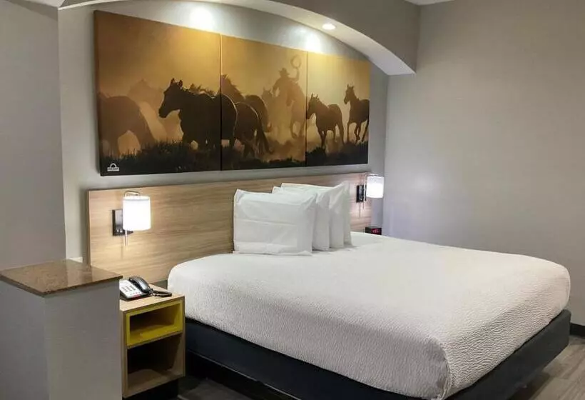 酒店 Days Inn By Wyndham Humble/houston Intercontinental Airport