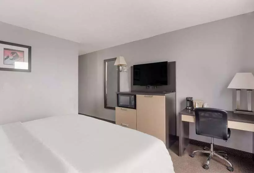 ホテル Quality Inn