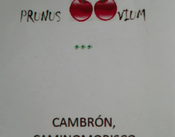 Casas Rurales Prunus Avium