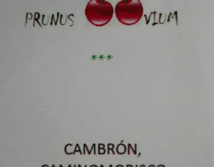 Casas Rurales Prunus Avium