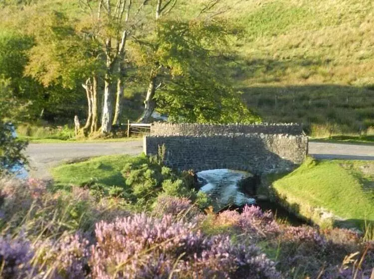 Majatalo Blindwell Farm