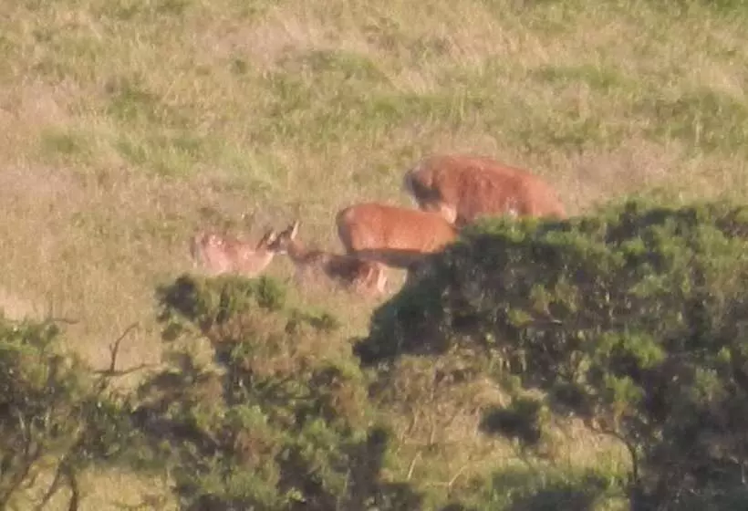 Majatalo Blindwell Farm