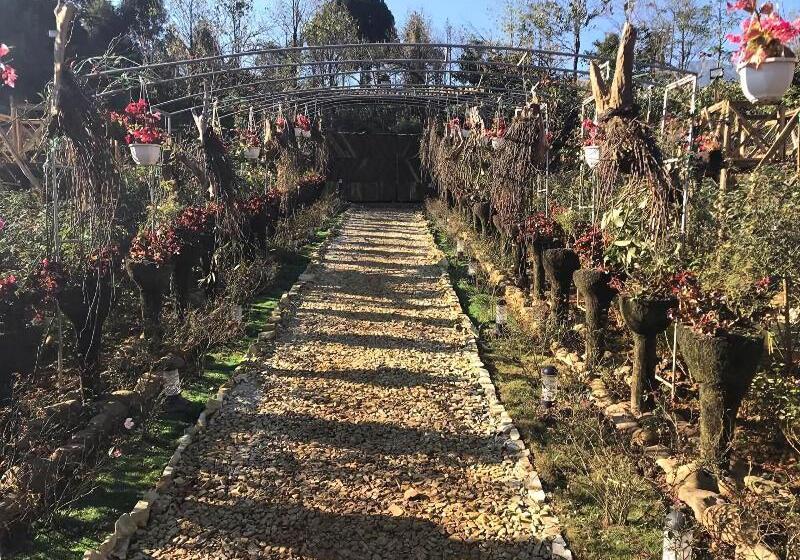 Pensjonat Homestay Vuon Hong Co