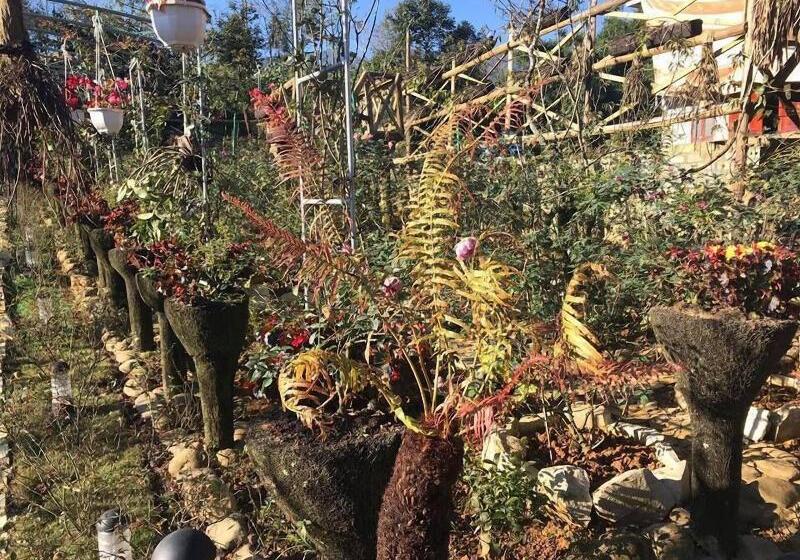 Pensjonat Homestay Vuon Hong Co