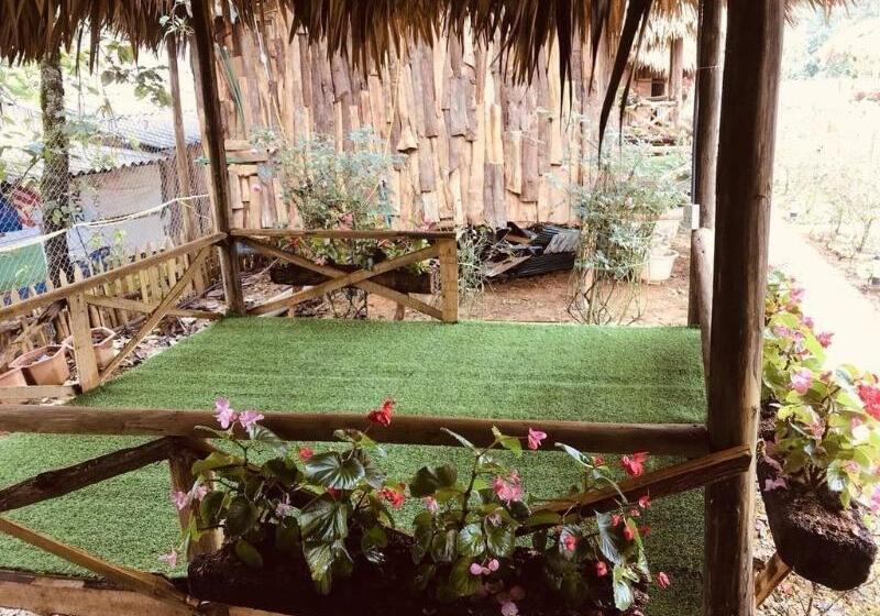 Pensjonat Homestay Vuon Hong Co