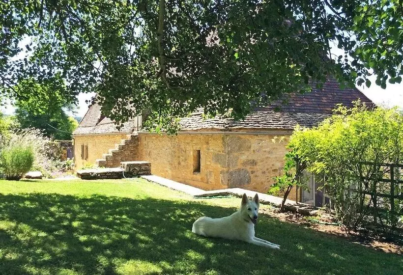 ペンション La Maison D Alice