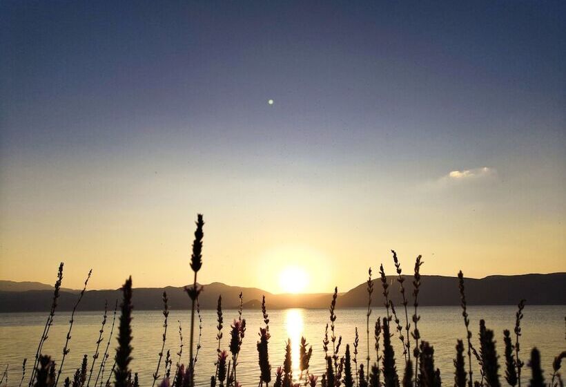 ペンション Meili Xiangyue Villa Verde