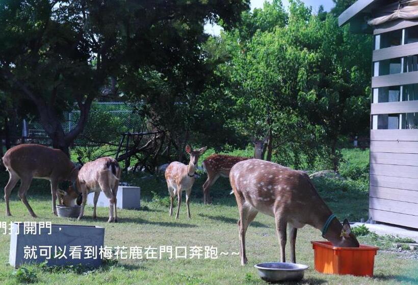 پانسیون 頌謙文旅 梅花鹿同住