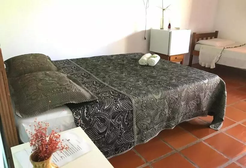 ユースホステル Aláfia Comandatuba