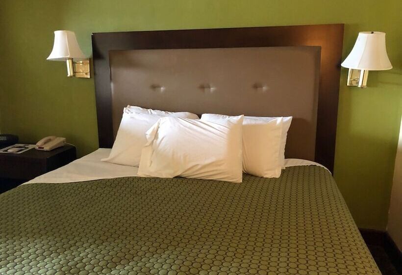 فندق Econo Lodge Inn & Suites