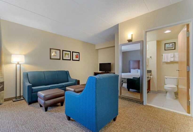 בית מלון כפרי Comfort Inn Mechanicsburg  Harrisburg South