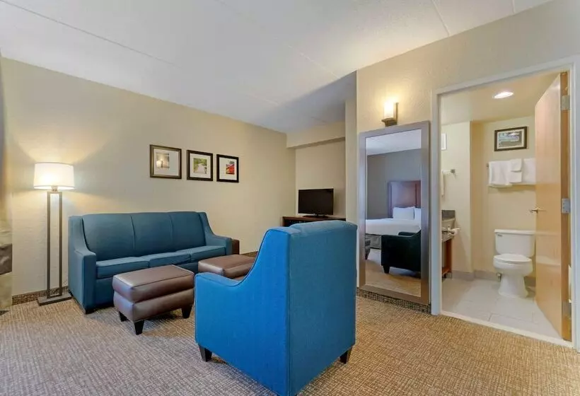 酒店 Comfort Inn Mechanicsburg  Harrisburg South