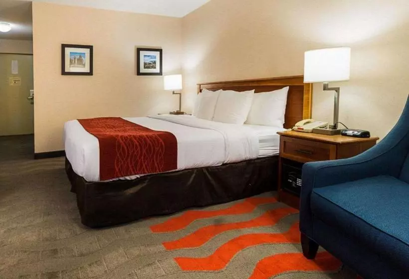 هتل Comfort Inn & Suites Airport