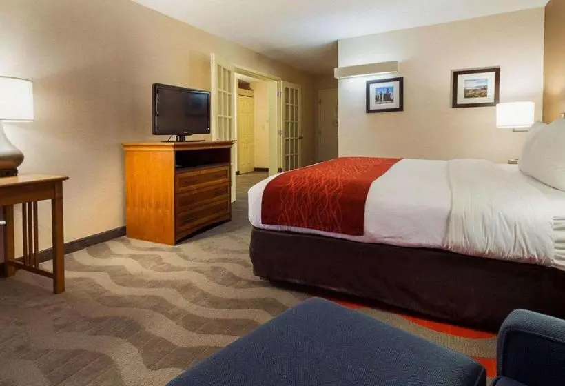 هتل Comfort Inn & Suites Airport