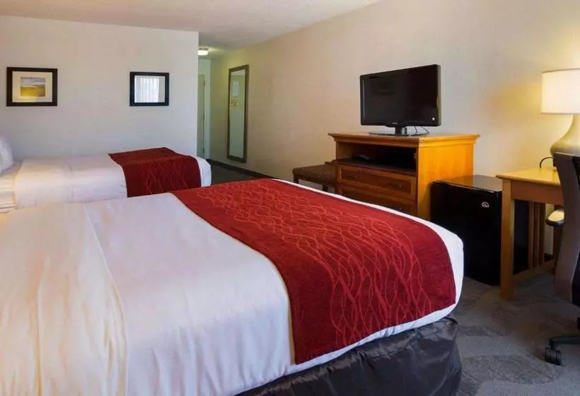 هتل Comfort Inn & Suites Airport