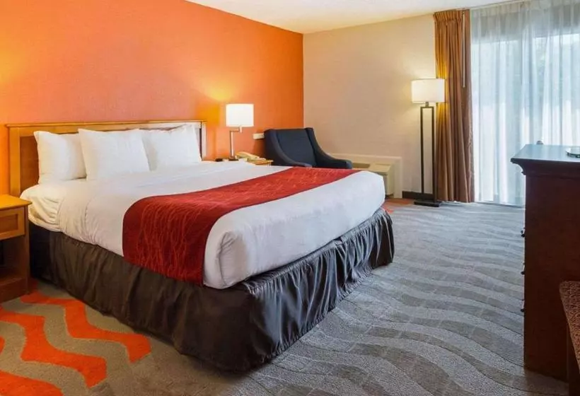 هتل Comfort Inn & Suites Airport