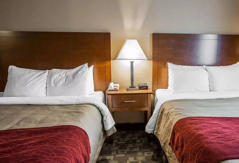 酒店 Comfort Inn Thomasville I85