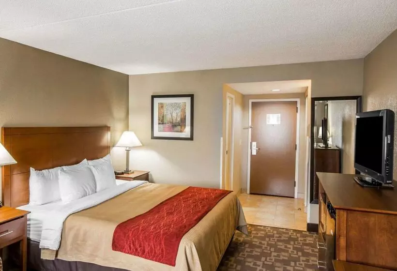 酒店 Comfort Inn Thomasville I85