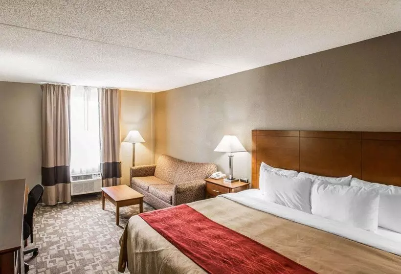 酒店 Comfort Inn Thomasville I85