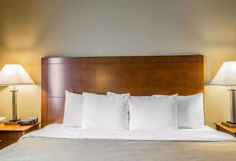 酒店 Comfort Inn Thomasville I85