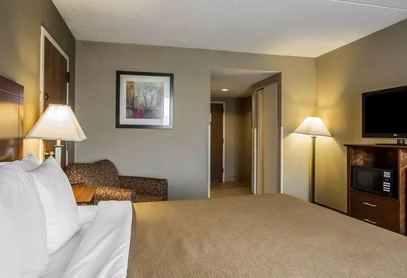 酒店 Comfort Inn Thomasville I85