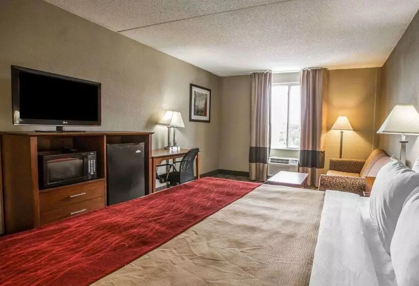 酒店 Comfort Inn Thomasville I85