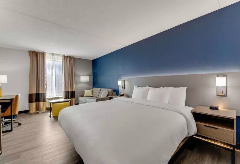 酒店 Comfort Inn Thomasville I85