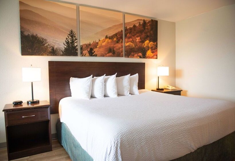 Hotel Days Inn By Wyndham Waynesboro