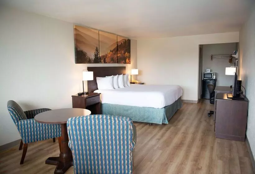 酒店 Days Inn By Wyndham Waynesboro