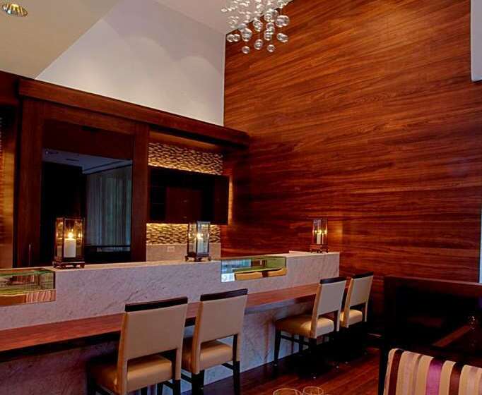 فندق Hilton Chicago/magnificent Mile Suites