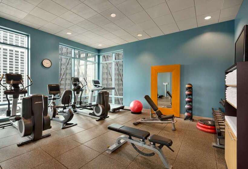 فندق Hilton Chicago/magnificent Mile Suites