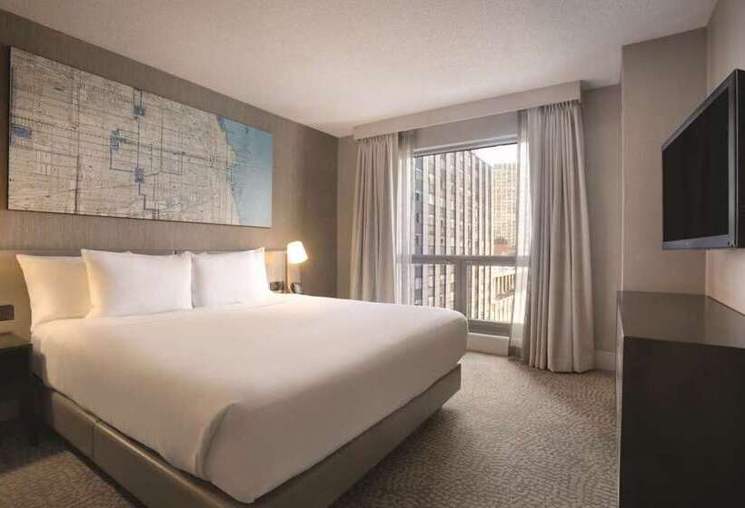 فندق Hilton Chicago/magnificent Mile Suites