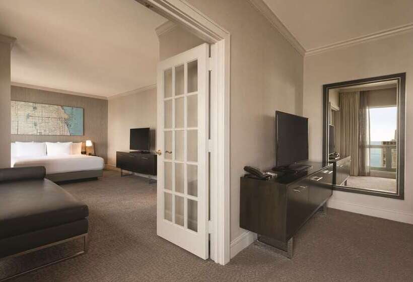 فندق Hilton Chicago/magnificent Mile Suites