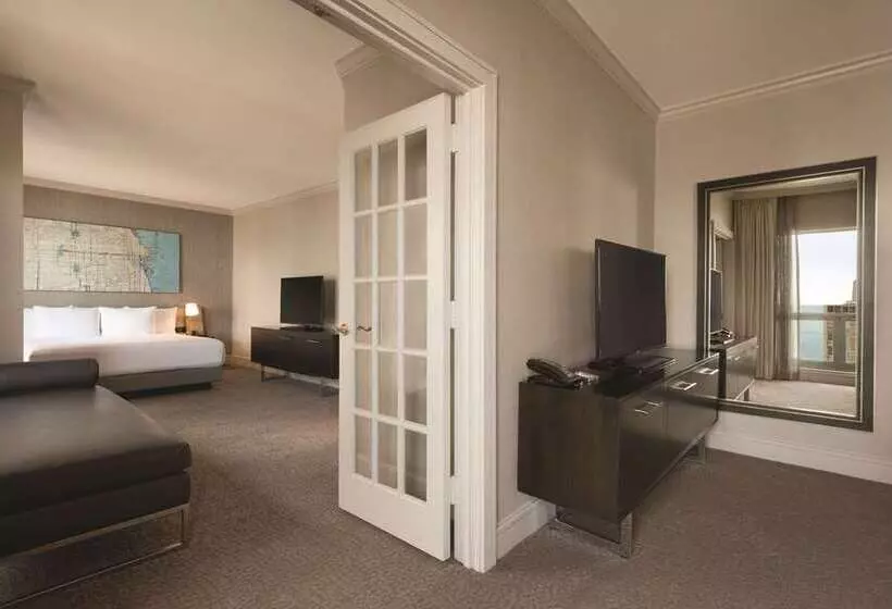 هتل Hilton Chicago/magnificent Mile Suites