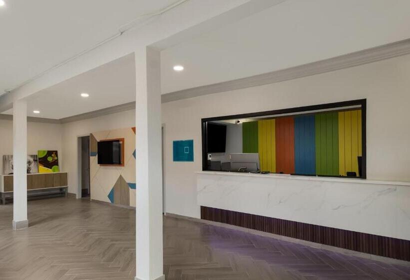 فندق Signature Inn Houston Galleria