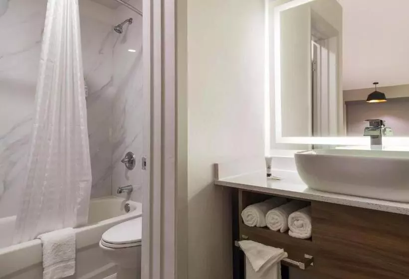 酒店 Signature Inn Houston Galleria