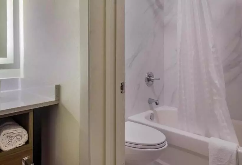 酒店 Signature Inn Houston Galleria