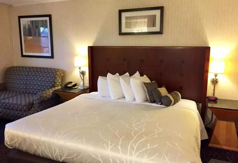 酒店 The Black Mountain Inn