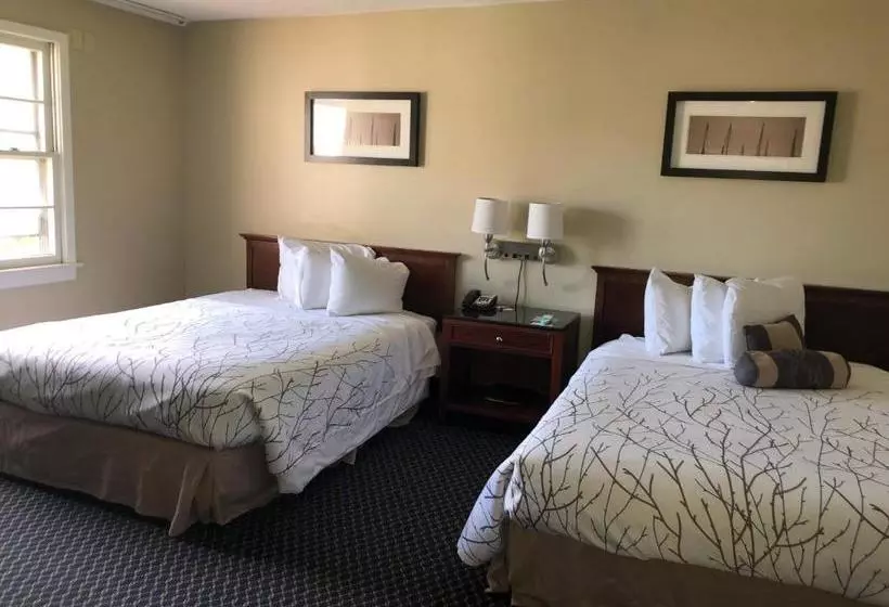 酒店 The Black Mountain Inn