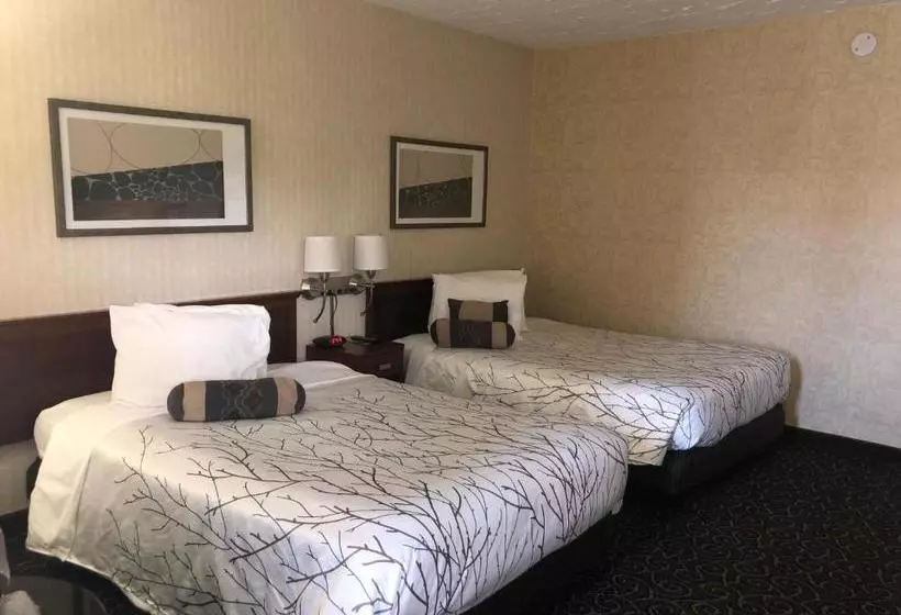 酒店 The Black Mountain Inn