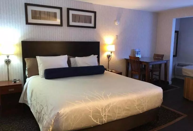 酒店 The Black Mountain Inn