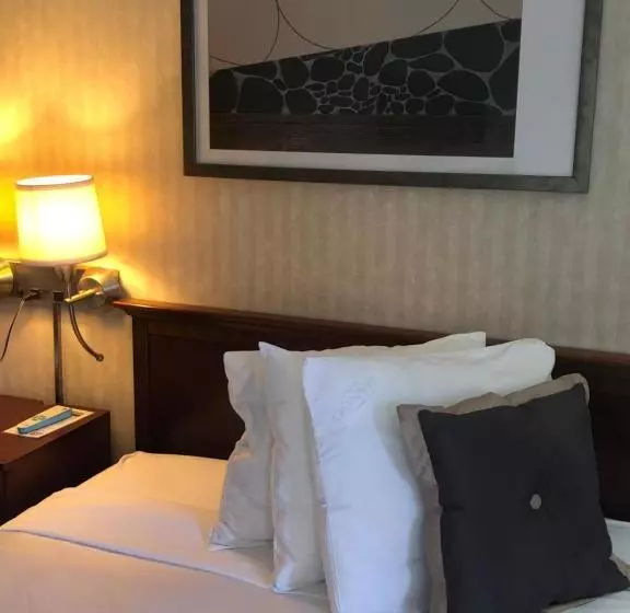 酒店 The Black Mountain Inn