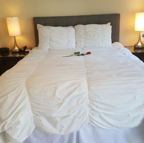 בית מלון כפרי The Drake Inn