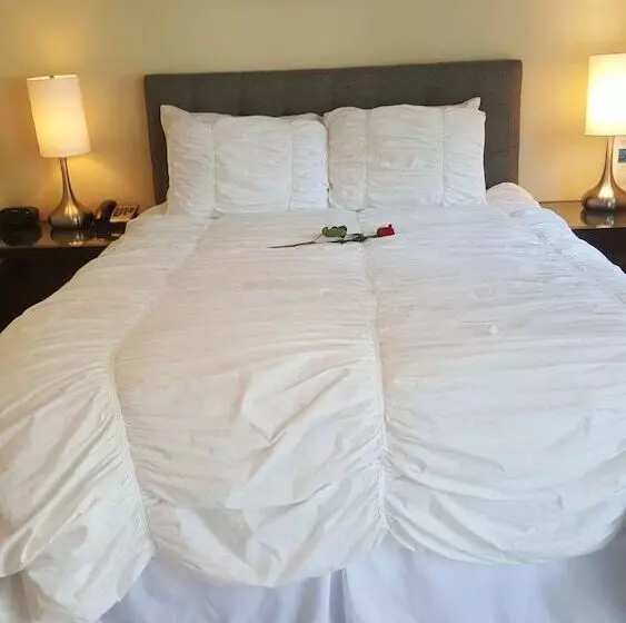 酒店 The Drake Inn