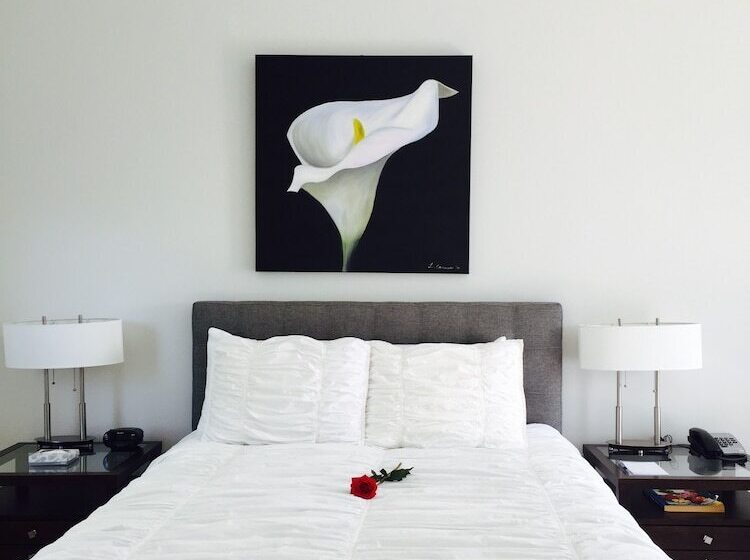 בית מלון כפרי The Drake Inn