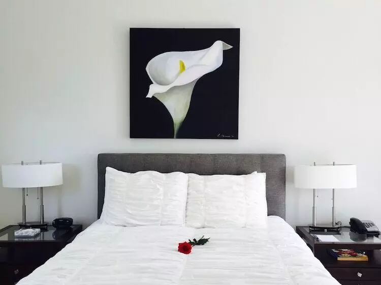 酒店 The Drake Inn