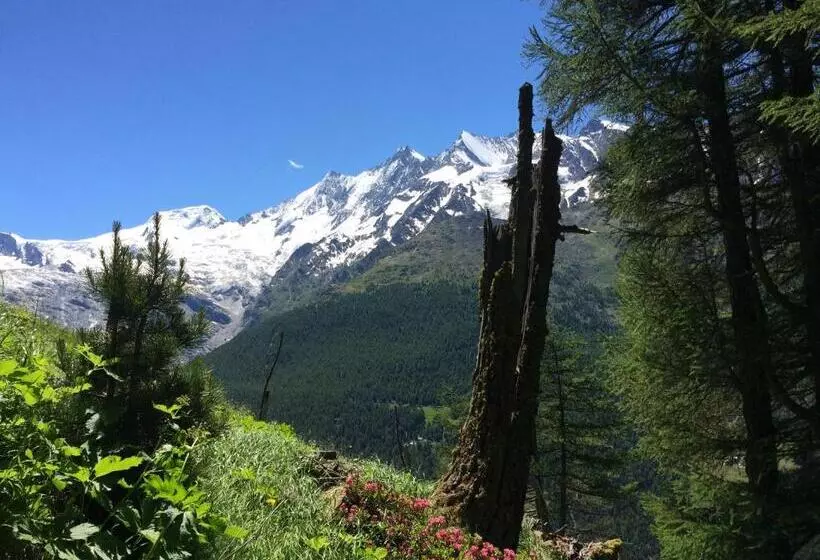 B&b Haus Granit Saas Grund