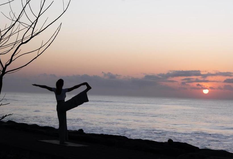 פנסיון The Village Home