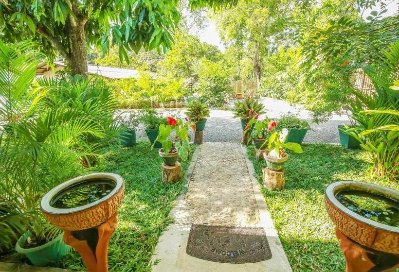 فندق Nehansa Resort And Safari